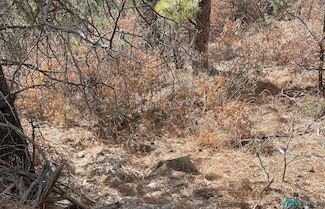 107 Merlin Dr, Timberon, NM 88350