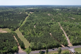 TBD-D Old Highway 135, Gladewater, TX 75647