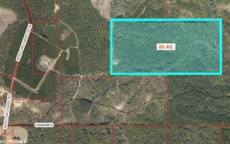 0 County Road 87 N Unit Lot B, 85 ac 338592, Robertsdale, AL 36567