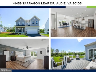 41459 Tarragon Leaf Dr, Aldie, VA 20105
