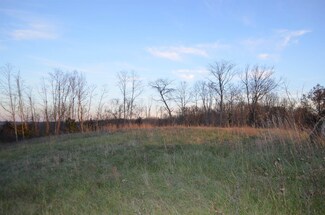Lot 4 Lenoxburg Rd, Pendletn Cnty, KY 41040