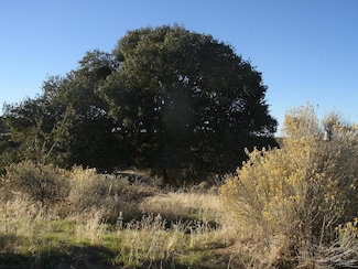 0 Summers Dr Unit 9993340, Tehachapi, CA 93561