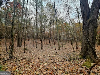 0 Windy Hill Rd Unit 10646717, Franklin, GA 30217