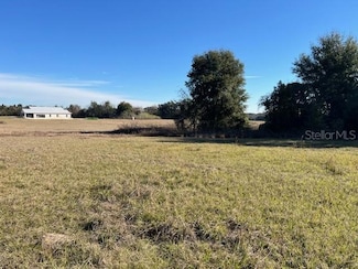 0 NW 95th St Unit Lot 8, Anthony, FL 32617