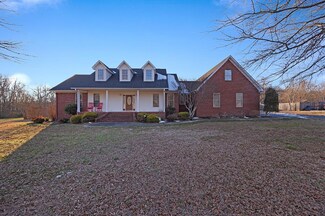 231 Sycamore Ln, Mc Kenzie, TN 38201