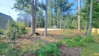 1520 Dreher Island Rd, Chapin, SC 29036