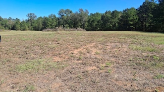 TBD Antioch Rd, Groveton, TX 75845