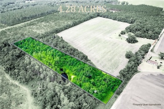 0000 King Rd, Patterson, GA 31557