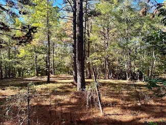 0 County Road 3568, Woodville, TX 75979