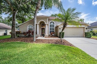15207 Arbor Hollow Dr, Odessa, FL 33556