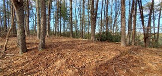 116 Sweetshrub Way, Sunset, SC 29685
