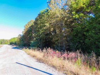 001 Truman Reynolds Dr, Quitman, AR 72131