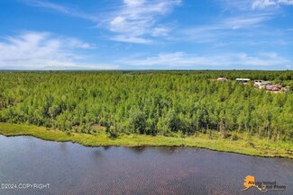 1540 S Wolf Rd, Big Lake, AK 99623