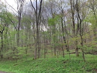 9 Slatyridge, Slatyfork, WV 26291