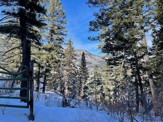 0 County Road 14, Ouray, CO 81427