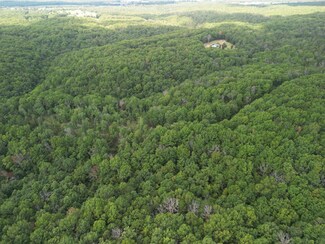 125 & 130 Ridge Crest Trail, Raymondville, MO 65555