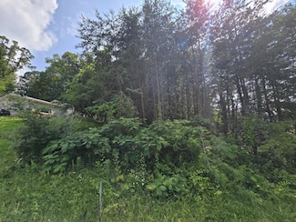 1466 Dandelion Cir, Morristown, TN 37814