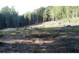 000 Orchard Rd, Warren, VT 05674