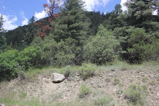 12 Acres Cabresto Canyon Rd, Questa, NM 87556