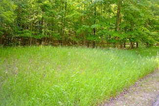 Lot 31 Kaden Ln Unit 31, Advance, MI 49712
