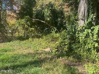 L12 Jane Dr, East Glenville, NY 12302