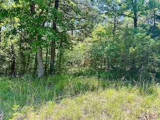 39 Dove Ln, Holiday Island, AR 72631