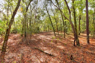 0 E Keysville Rd Unit 21658271, Lithia, FL 33547