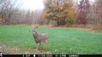 1 S Iron Mountain Rd, Bloomfield, IN 47424