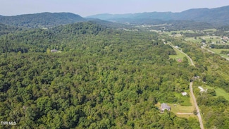 20 Acres Tbd Dunville Gap Rd, Rutledge, TN 37861