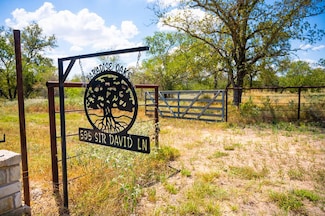 595 Sir David Ln, Poteet, TX 78065