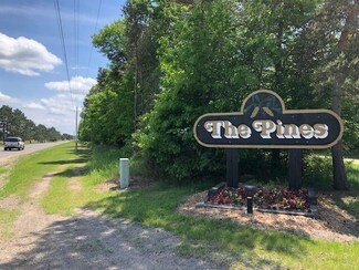 10140 Hawthorne Ln, Canadian Lakes, MI 49346