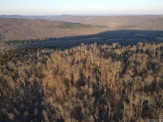 0 Little Red River Rd Unit 25006414, Leslie, AR 72645
