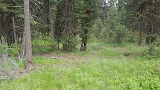 TBD  tract 35A High Country Rd, Plains, MT 59859
