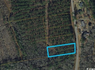 Lot 1 Highway 66, Loris, SC 29569