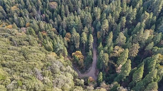 0 Deer Run Rd Unit CV25260615, Cedarpines Park, CA 92322