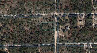 0 NE 100th Ave, East Bronson, FL 32621
