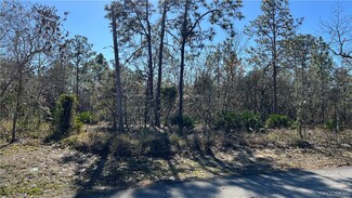 19 Maidenbush Ct E, Homosassa, FL 34446