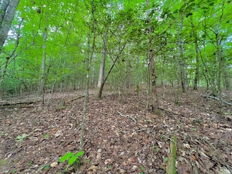 00 Emerald Pond Dr, Blairsville, GA 30512