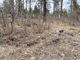 Lot 5 Paradise Valley Dr Unit 5, Timberon, NM 88350