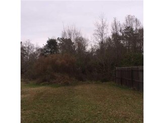 11211 Griffin Rd, Tickfaw, LA 70466