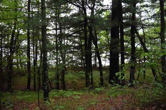 L13 N Timber Bay Ave, Quincy, WI 53910