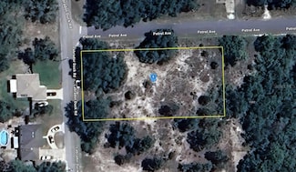 12194 Labrador Duck Rd, Weeki Wachee, FL 34614