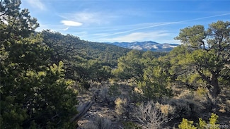 Lot 4582 Laidlaw Rd, Fort Garland, CO 81133