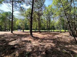 Lot 3 Tennessee 304, Ten Mile, TN 37880