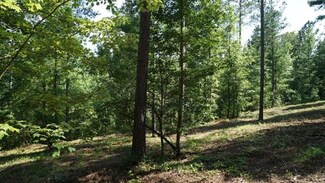 1672 W Paradise Harbor Dr Unit 170, Connelly Springs, NC 28612