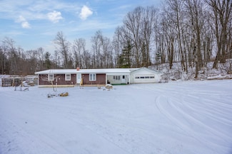 10531 90th Ave, Evart, MI 49631
