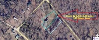 143 Poplar Ln, Falls of Rough, KY 40119
