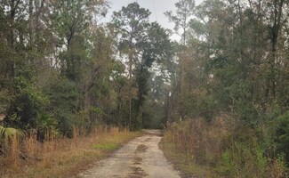 351 Dustin Collins Rd, Brunswick, GA 31525