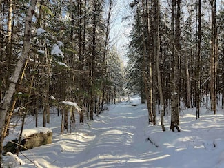 0 Shadow Lake Rd Unit 5070680, Glover, VT 05839