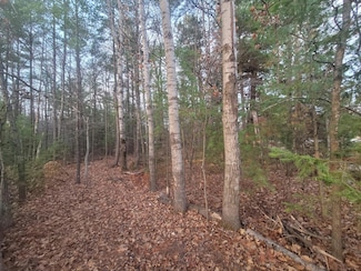 V/L County Road 487, Atlanta, MI 49709